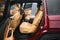 2025 Jeep Grand Cherokee L Summit Reserve