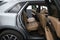 2023 Cadillac XT5 Sport