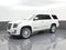 2018 Cadillac Escalade Platinum Edition