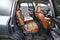 2023 Subaru Ascent Touring