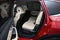 2022 Acura MDX Technology SH-AWD