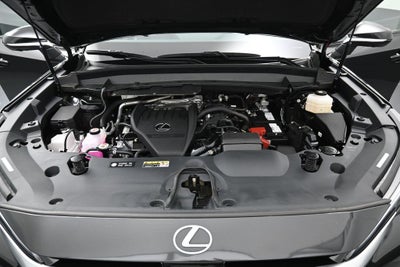2025 Lexus TX 350 Premium