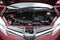 2019 Toyota Sienna XLE 7 Passenger