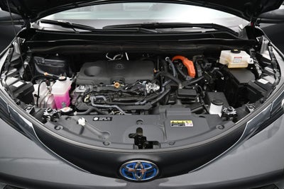 2025 Toyota Sienna XLE 7 Passenger