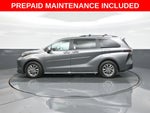 2026 Toyota Sienna XLE 8 Passenger