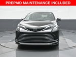 2026 Toyota Sienna Limited 7 Passenger