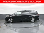 2026 Toyota Sienna Limited 7 Passenger
