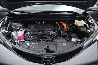 2026 Toyota Sienna Limited 7 Passenger