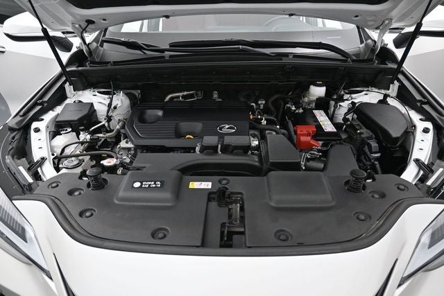 2023 Lexus NX 250 Base