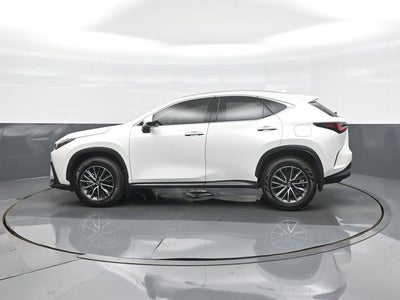 2023 Lexus NX 250 Base