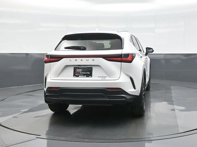 2023 Lexus NX 250 Base